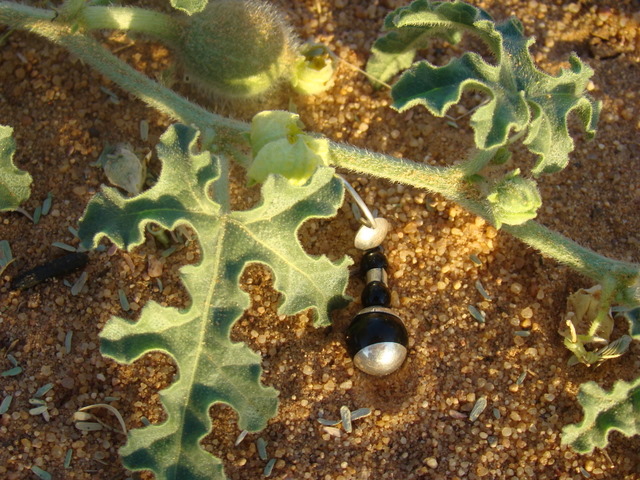 Boucles Oreilles Touareg Rond'Agate Noire