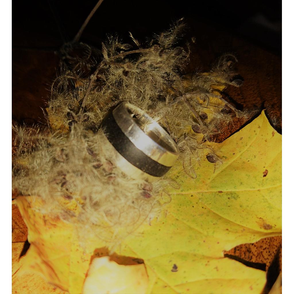 New _ Bague Touareg Anneau B&W