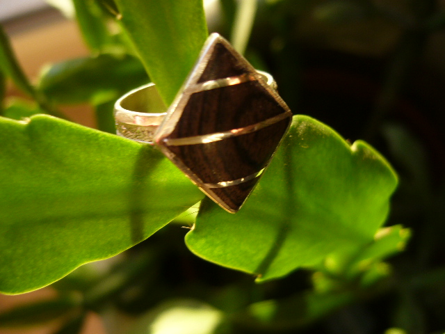 [BG206] Bague Touareg Losange Ebene 2