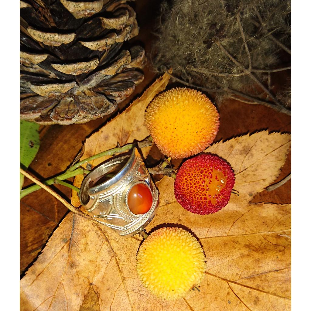 [BG317] New _ Bague Touareg Soleil Couchant