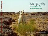 Artetiq